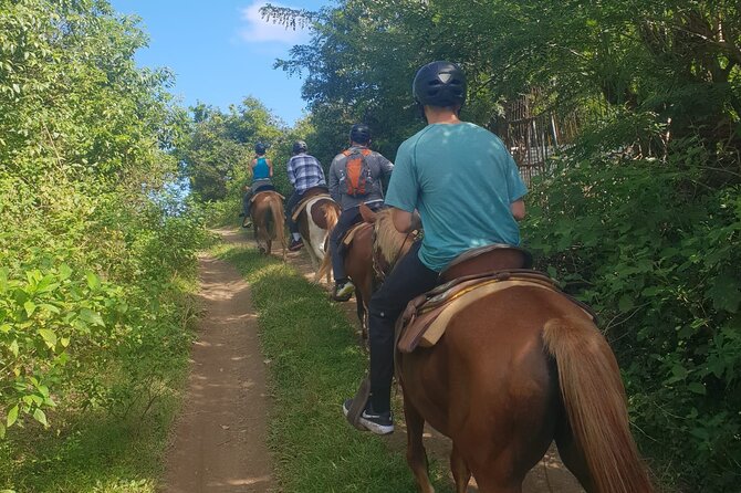 3 Hours Horseback Riding From Nature Trails to Sofa Stone - Guest Reviews and Ratings