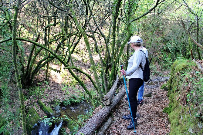 An Adventure Through the Schist Villages of Lousã (With Walk) - Directions