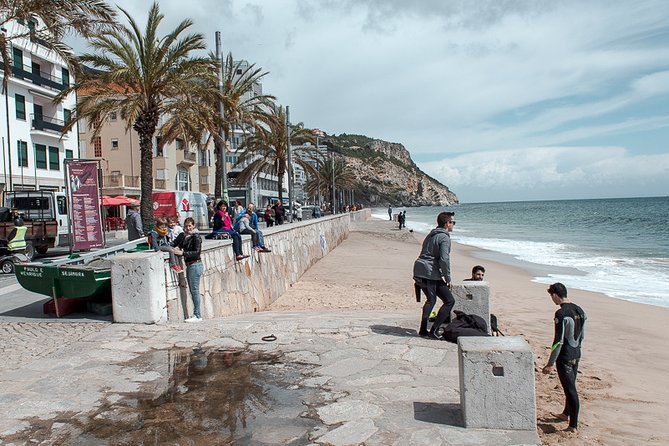 Arrábida Natural Park and Sesimbra Day Trip From Lisbon - Important Trip Details