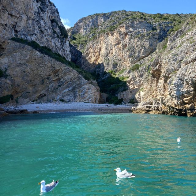 Arrábida Natural Park: Sunset Boat Trip With Regional Drink. - Safety and Environment