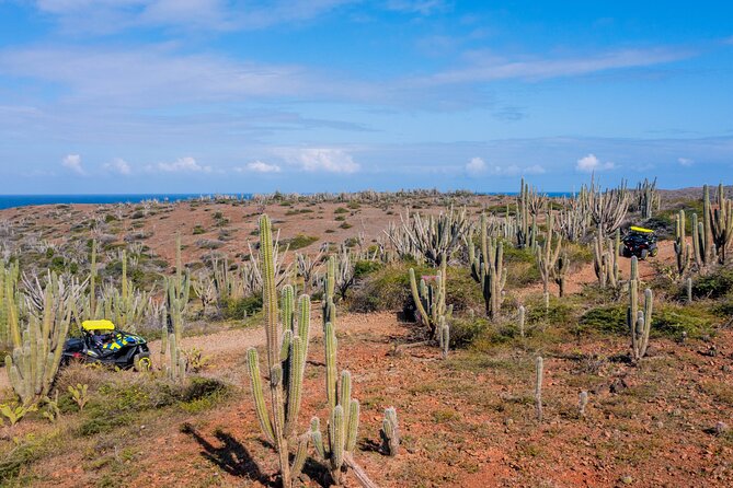 Arubas Wild Side - UTV Tour Exploring the Northern Treasure - Meeting and End Point