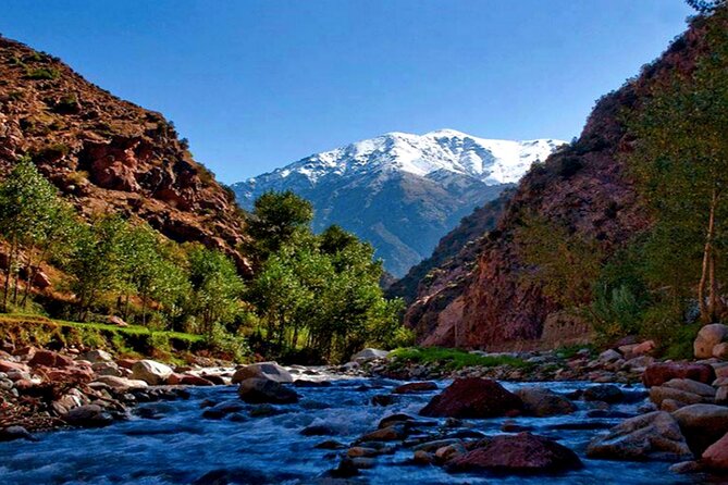 Atlas Mountains & Ourika Valley Private Day Trip From Marrakech - Tour Operator and Guarantee