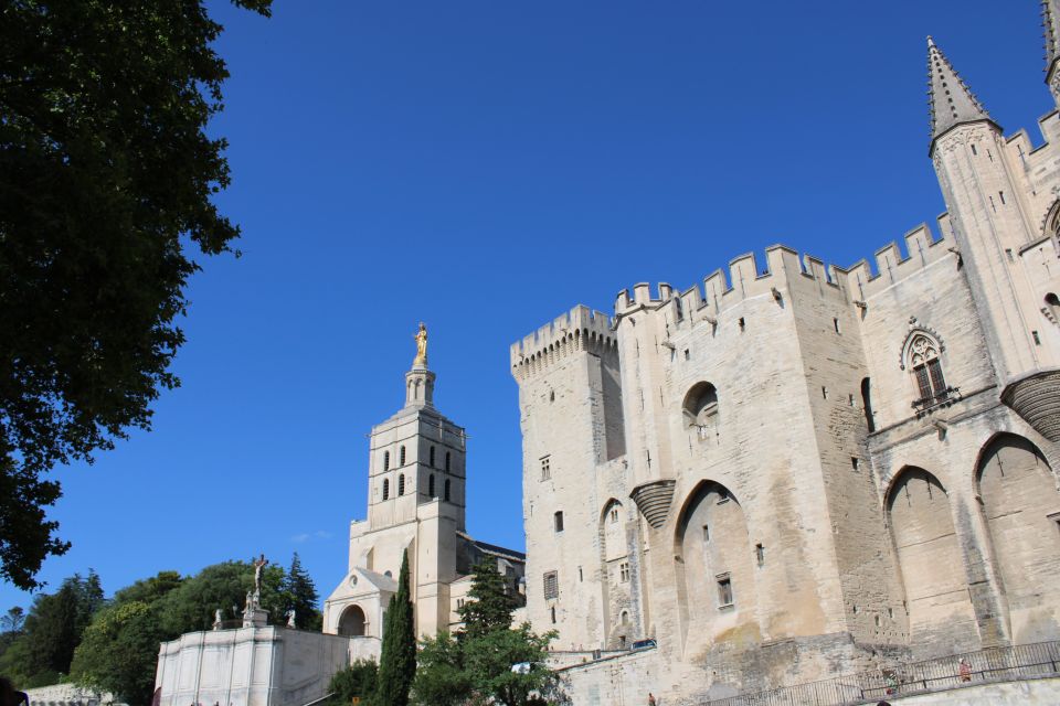 Avignon: Tour With Private Guide - Personalized Itinerary and Insights