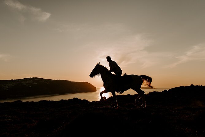 Beach Gallop - Horse Riding Safari for Experienced Riders - Riding Through Megalochori Town