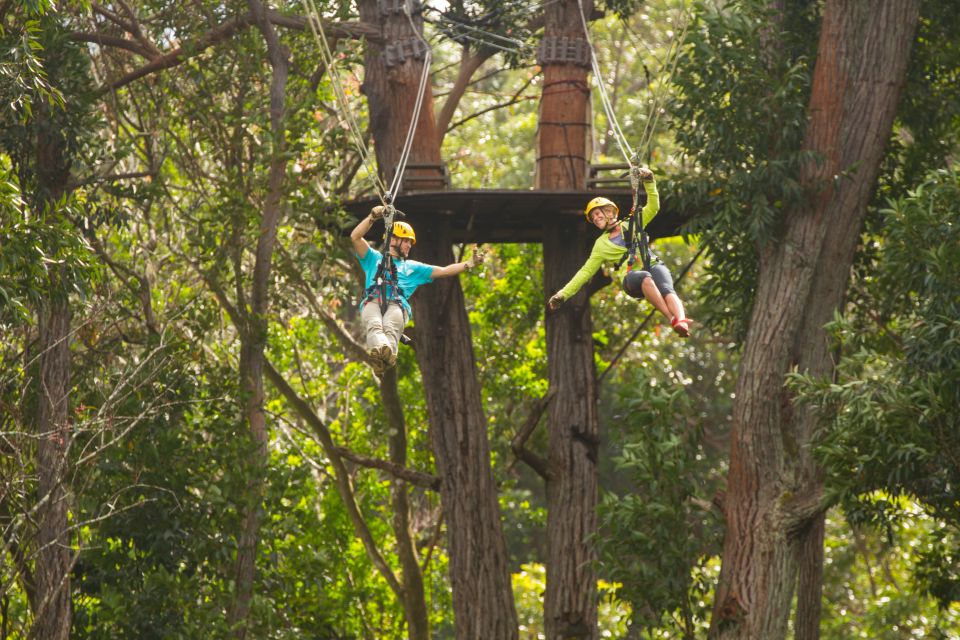 Big Island: Full-Day Kohala Zipline and Waterfall Adventure - Age and Weight Requirements