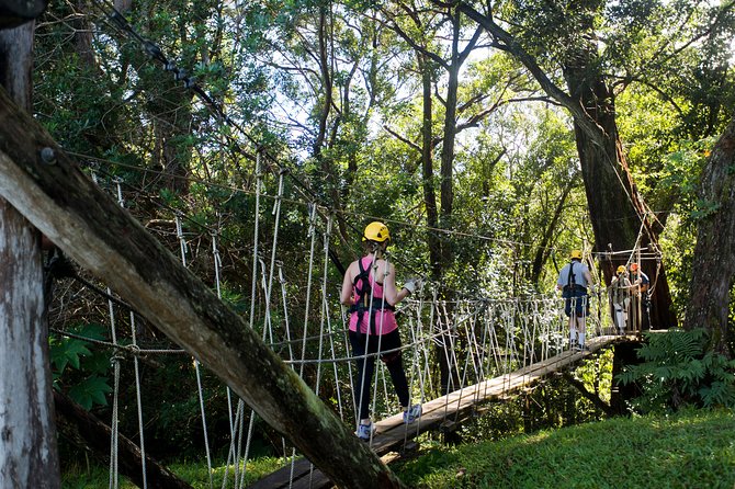 Big Island Kohala Canopy Zipline Adventure - Birds-Eye Forest Canopy