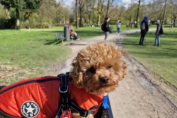 Bills Bike Tour Amsterdam - Bike With Bill and Puppy Herman - Accessibility and Transportation