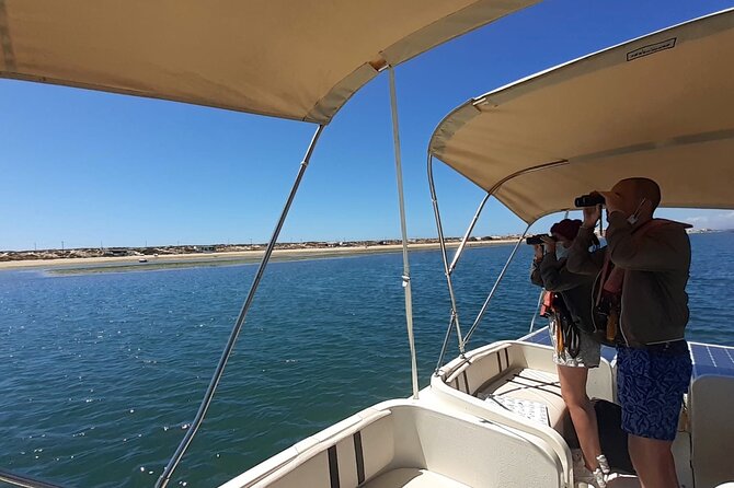 Birdwatching in Ria Formosa - Eco Boat Tour From Faro - Cancellation Policy and Considerations