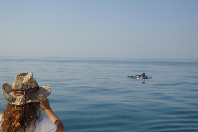 Boat Trip for Dolphin Watching Along the Arrabida Coast and Sesimbra - Meeting Point and Location