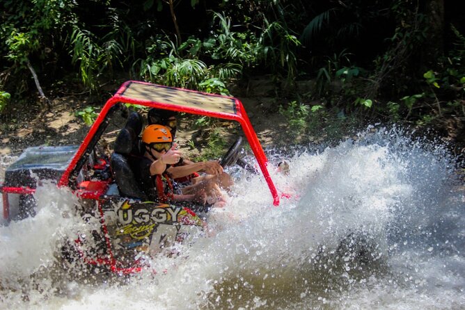 Buggy Tour From Amber Cove and Taino Bay Puerto Plata - Review Highlights