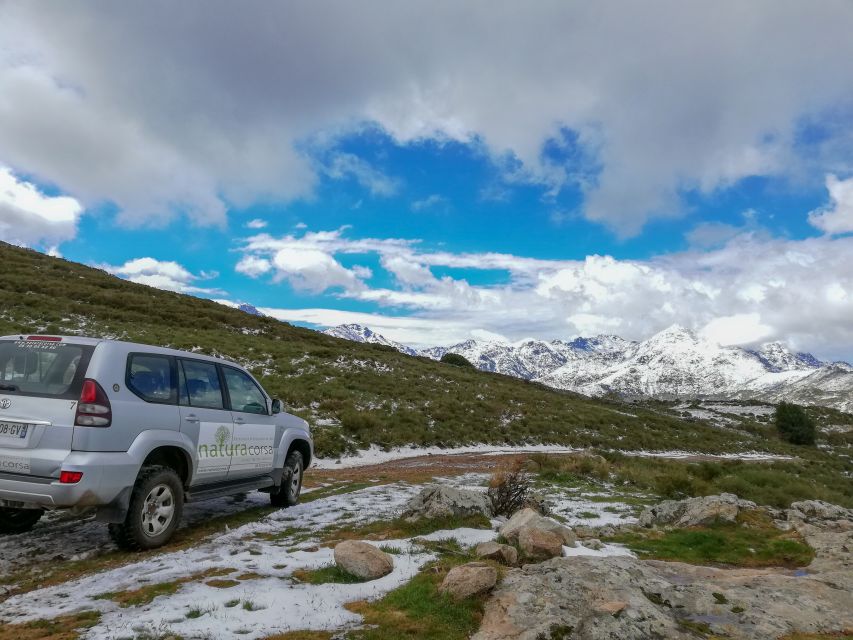 Calvi: Asco Valley 4x4 Day Tour With Guide - Pickup Locations and Accessibility