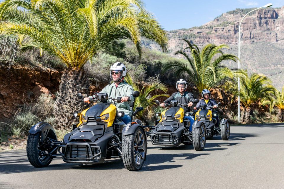 Can-Am Ryker Moto Tour: Discover the Mountain (Maspalomas) - Essential Tips for Participants