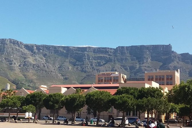 Cape Town City Tour Camps Bay Beach Plus Table Mountain Ticket - Tour Duration and Schedule