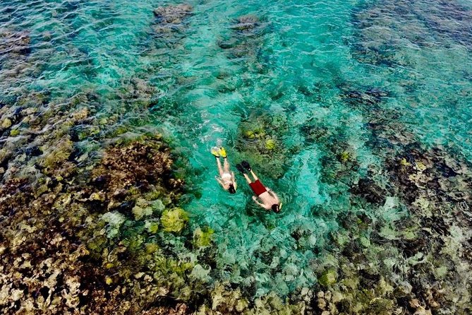 Captain Bob Speed Boat/Snorkeling/Beach Tour + Lunch St Maarten - Booking and Confirmation