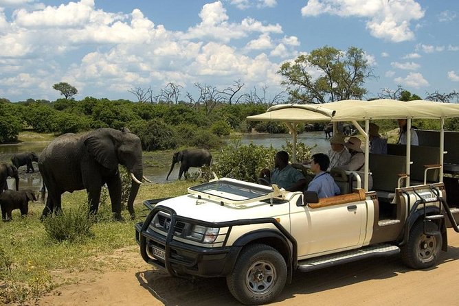 Chobe Full Day Trip - What to Expect