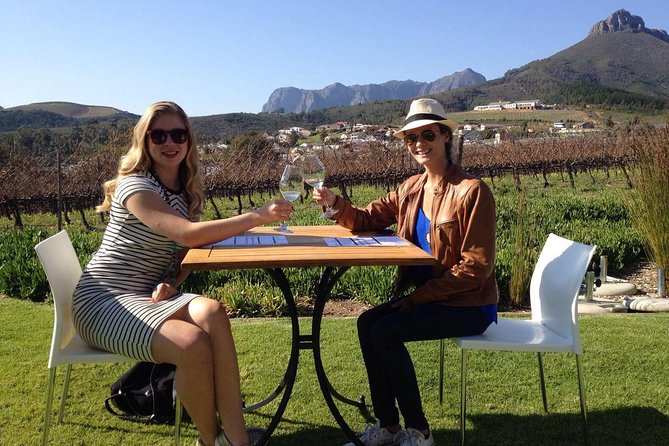 Daily Different Small Group WINE Tour - STELLENBOSCH PICKUP Only - Guided by Wine Experts