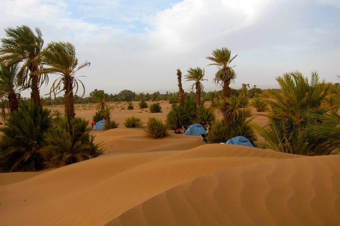 Desert Odyssey: a 2-Day Journey From Marrakech to Zagora - Comfortable Transportation and Accommodations