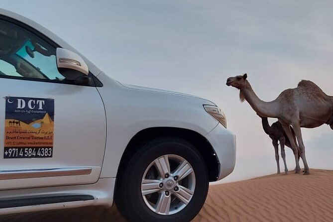 Desert Safari Dubai at Evening Time in 4x4 Car - Buffet Dinner Menu