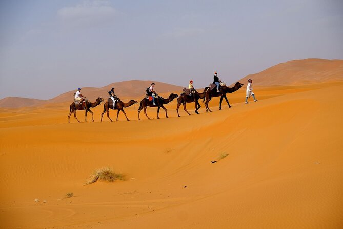 Desert Safari With BBQ Dinner From Dubai - Group Size and Guide