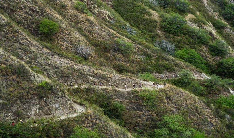 Diamond Head Manoa Falls - Highlights