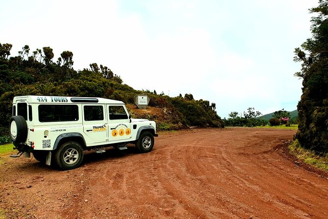 Discover the Unexplored Beauty of the Island by 4x4 Tour - the Nordeste - Group Size and Accessibility