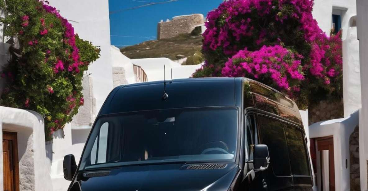 Disposal Service Mykonos: Full Day Private Driver- Minibus - Booking Process