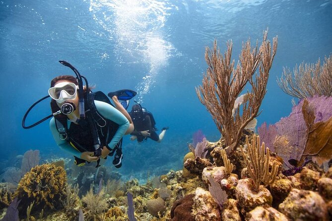 Diving And Snorkeling To Ras Mohamed And White Island By VIP Boat - Snorkeling at Ras Mohamed