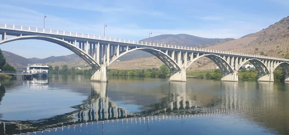 Douro Valley Wine Road Trip, 2 Vineyards Lunch River Cruise - Savor Gold Medal Wines