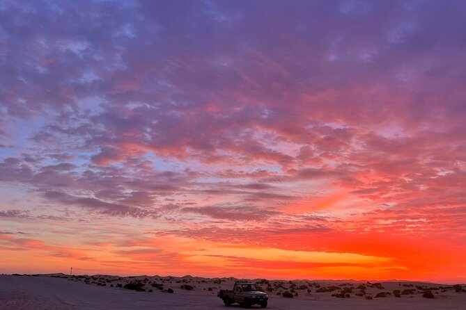 Dubai Evening Desert Safari - Pricing and Cancellation