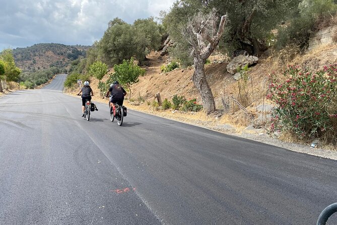 E-Bike Tour With Wine Tasting in Dafnes, Heraklion - Group Size and End Point