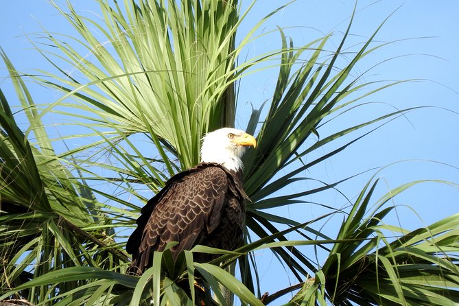 Everglades Day Safari From Ft Lauderdale - Positive Customer Feedback