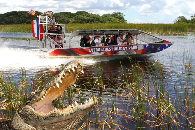 Everglades VIP Airboat Tour With Transportation Included - Tour Highlights