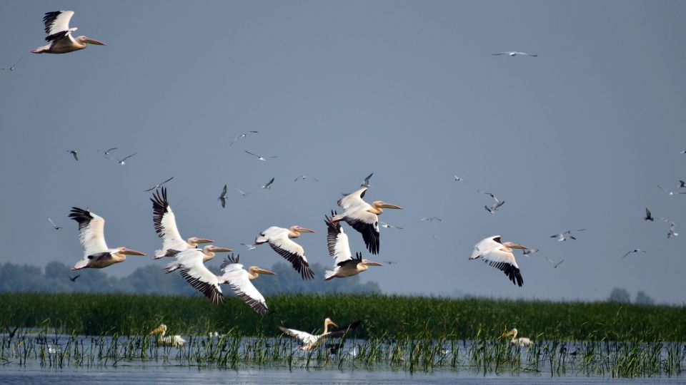 Explore Danube Delta and Black See in 2 Day Private Tour - Day Two Itinerary