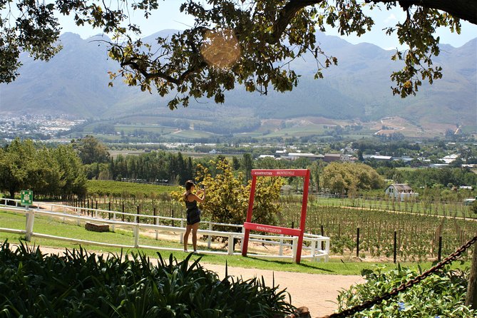 Franschhoek Cycle Experience Half Day - Private Tour - Customizable Routes