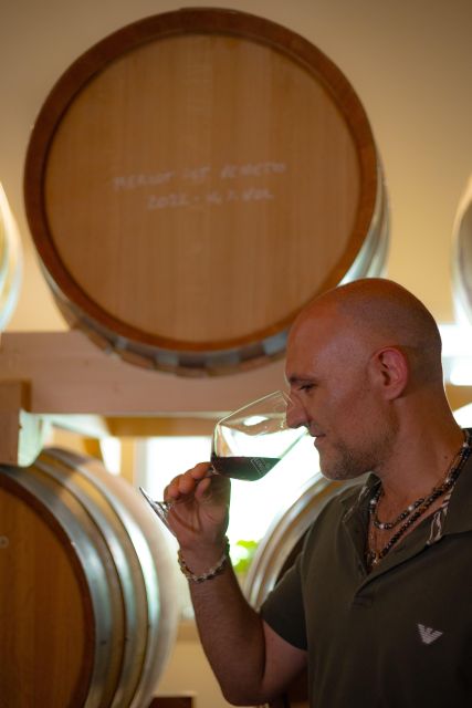 From Abano Montegrotto: Euganean Hills Guided Wine Tour - Important Information