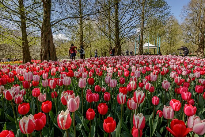 From Amsterdam: Keukenhof Flower Park Ticket and Transfer 2025 - Customization Options