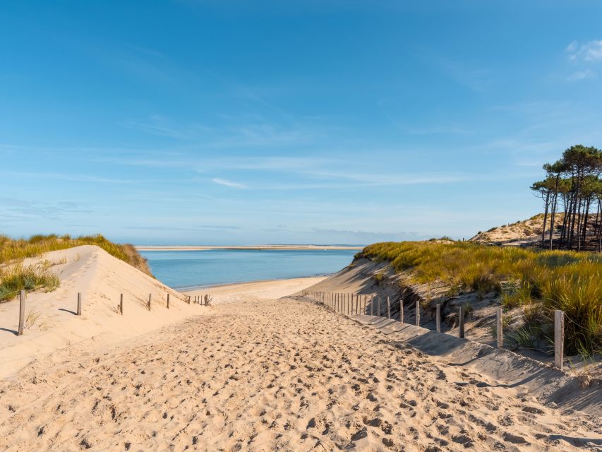 From Bordeaux: Arcachon and Pilat Dune Private Tour - Enjoying Culinary Specialties