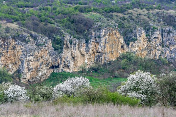 From Bucharest: Experience Bulgaria Small-Group Trip - Discovering Veliko Tarnovo