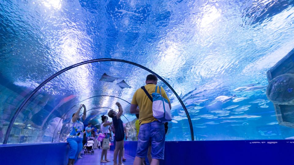 From City of Side: Antalya Aquarium Full-Day Trip - Family-Friendly Impressions