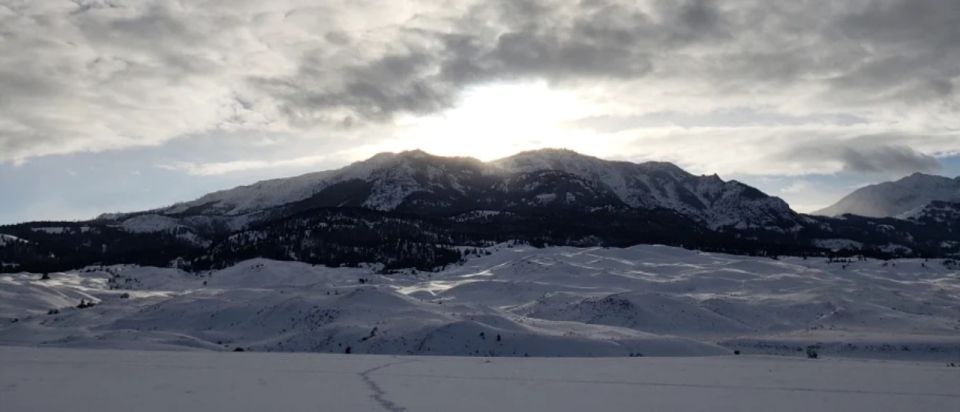 From Gardiner: Guided Yellowstone Cross-Country Skiing Tour - Spotting Wildlife in Yellowstone