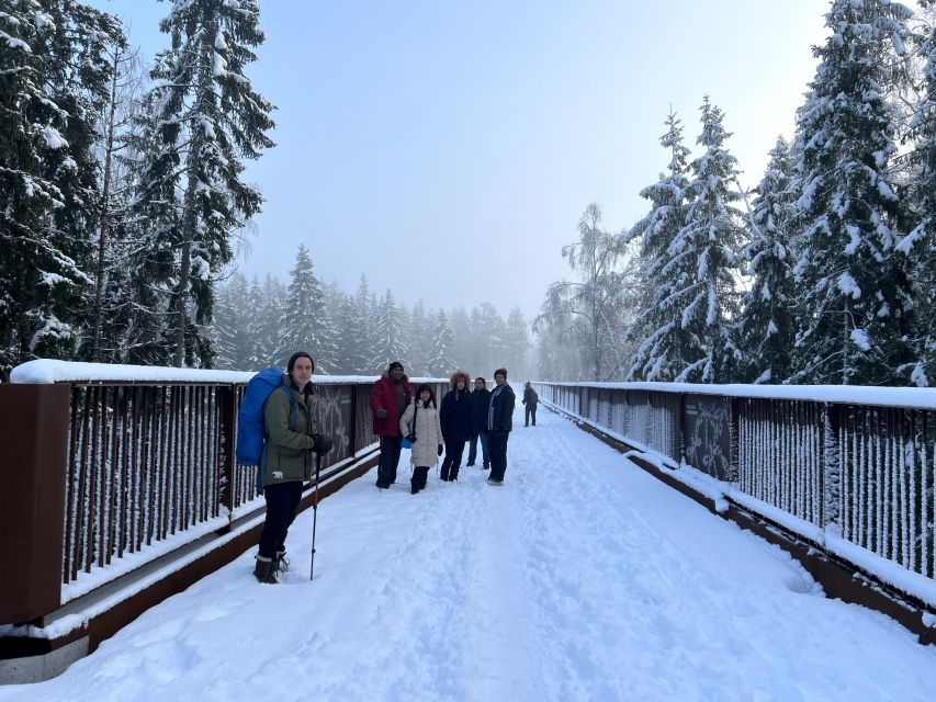 From Helsinki: Hike and Sauna in Sipoonkorpi National Park - Freshwater Lake Swimming