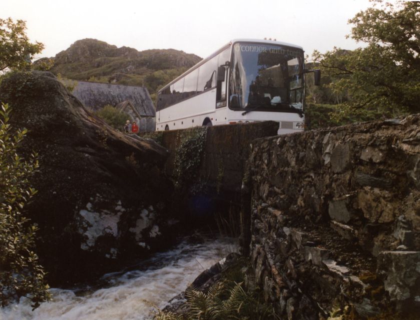 From Killarney: Ring of Kerry Mountain Road 1-Day Bus Tour - Scenic Views and Landscapes