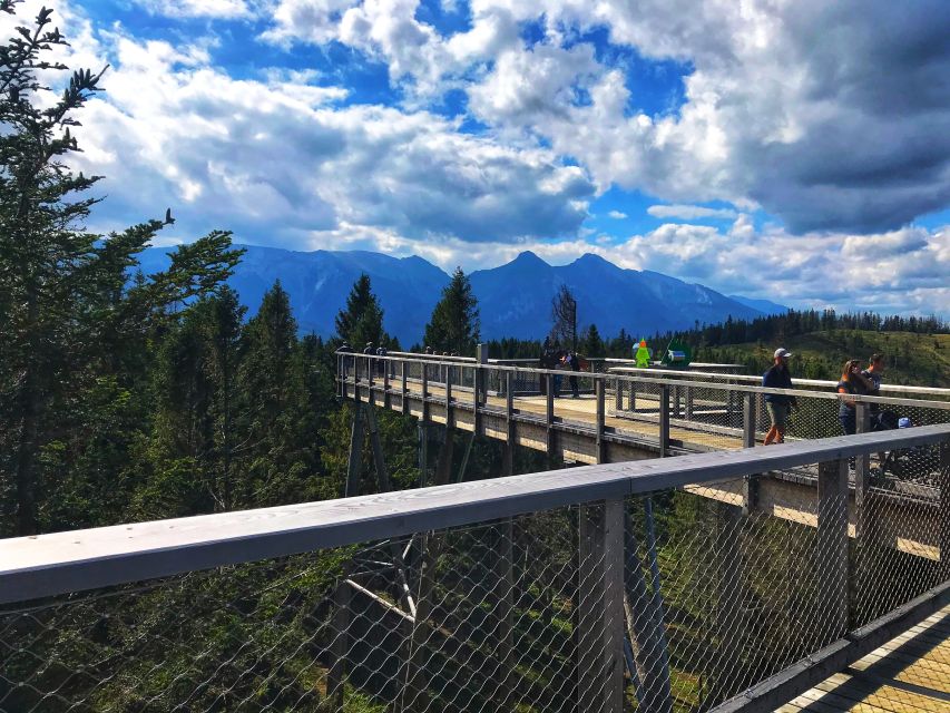 From Krakow: Treetop Walk & Zakopane Visit Small Group Tour - Treetop Walk