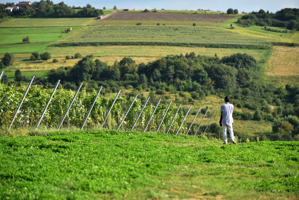 From Krakow: Wine Tasting at Vineyard - Pregnancy and Attire