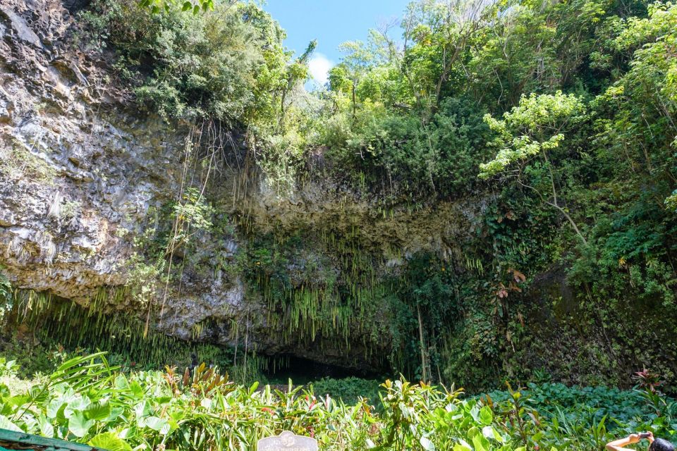 From Oahu: Kauai Waimea Canyon & Wailua River Tour - Scenic Waimea Canyon