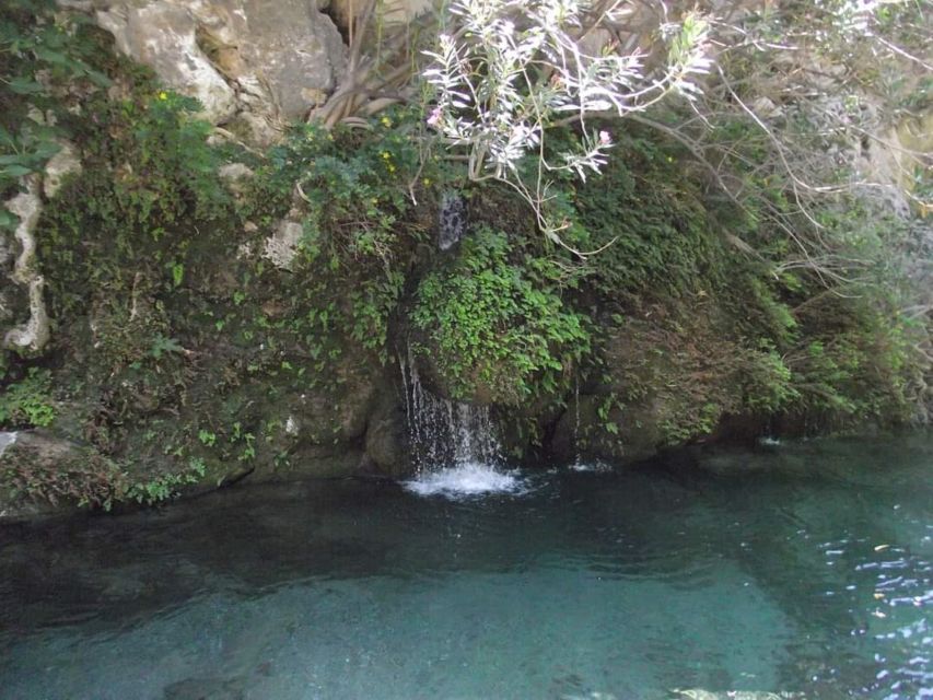 From Plakias: Kourtaliotiko Gorge Guided River Trekking - Included in the Tour