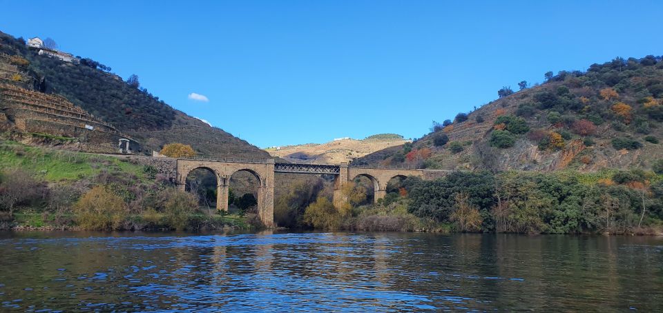 From Porto Day Douro Valley Wine Tour 2 Wineries & Lunch - Traditional Regional Lunch