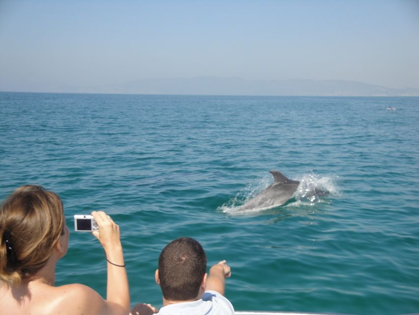 From Sesimbra: Arrábida Dolphin Watching Boat Tour - Scenic Boat Cruise