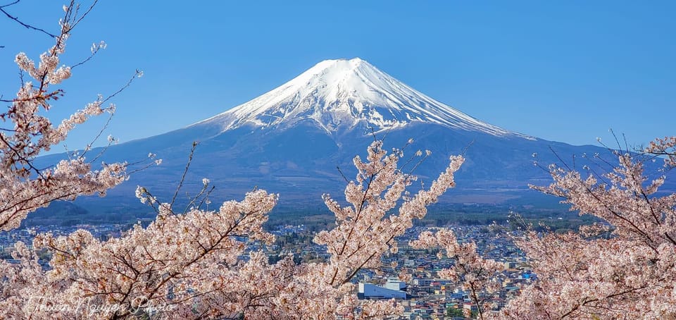 From Tokyo: Mt Fuji and Lake Kawaguchiko Private Day Trip - Booking and Cancellation Policies