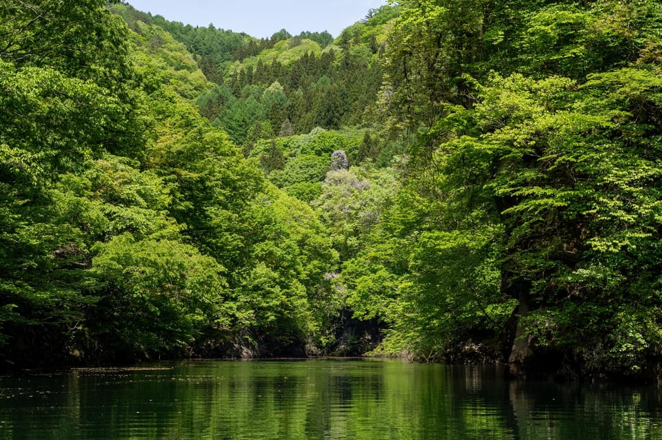 Fujiwara Lake Tour Review: Relax and Paddle - Booking and Cancellation Policy